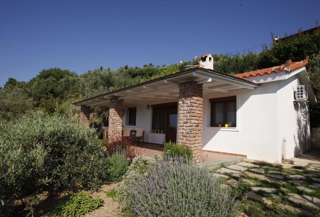 Agia Kali Villas 梅加利阿莫斯 外观 照片